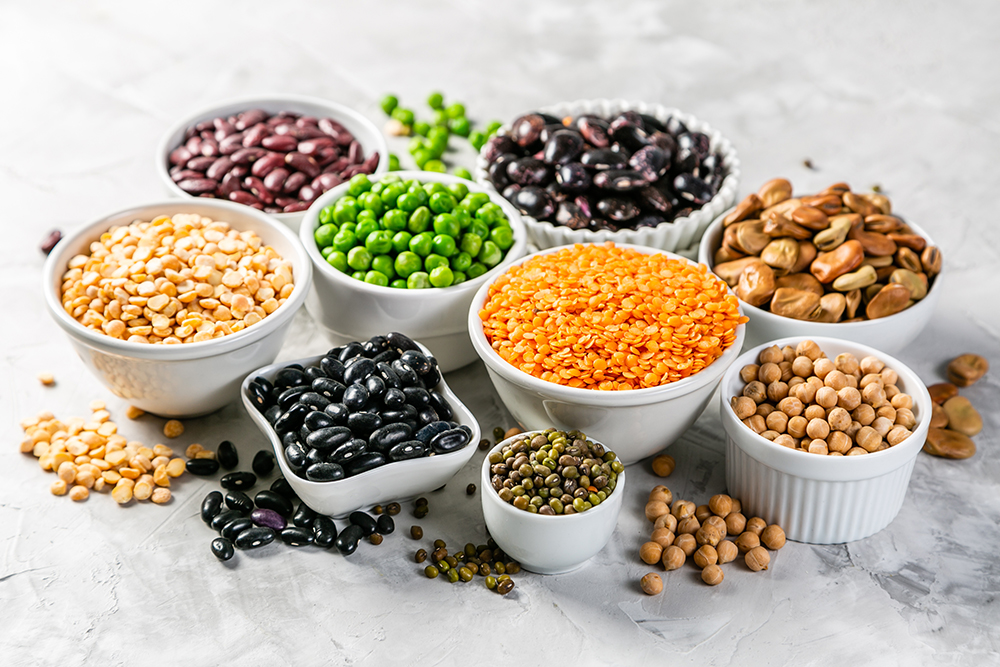 Selection of legumes - beans, lentils, mung, chickpea, pea in white bowls on stone background