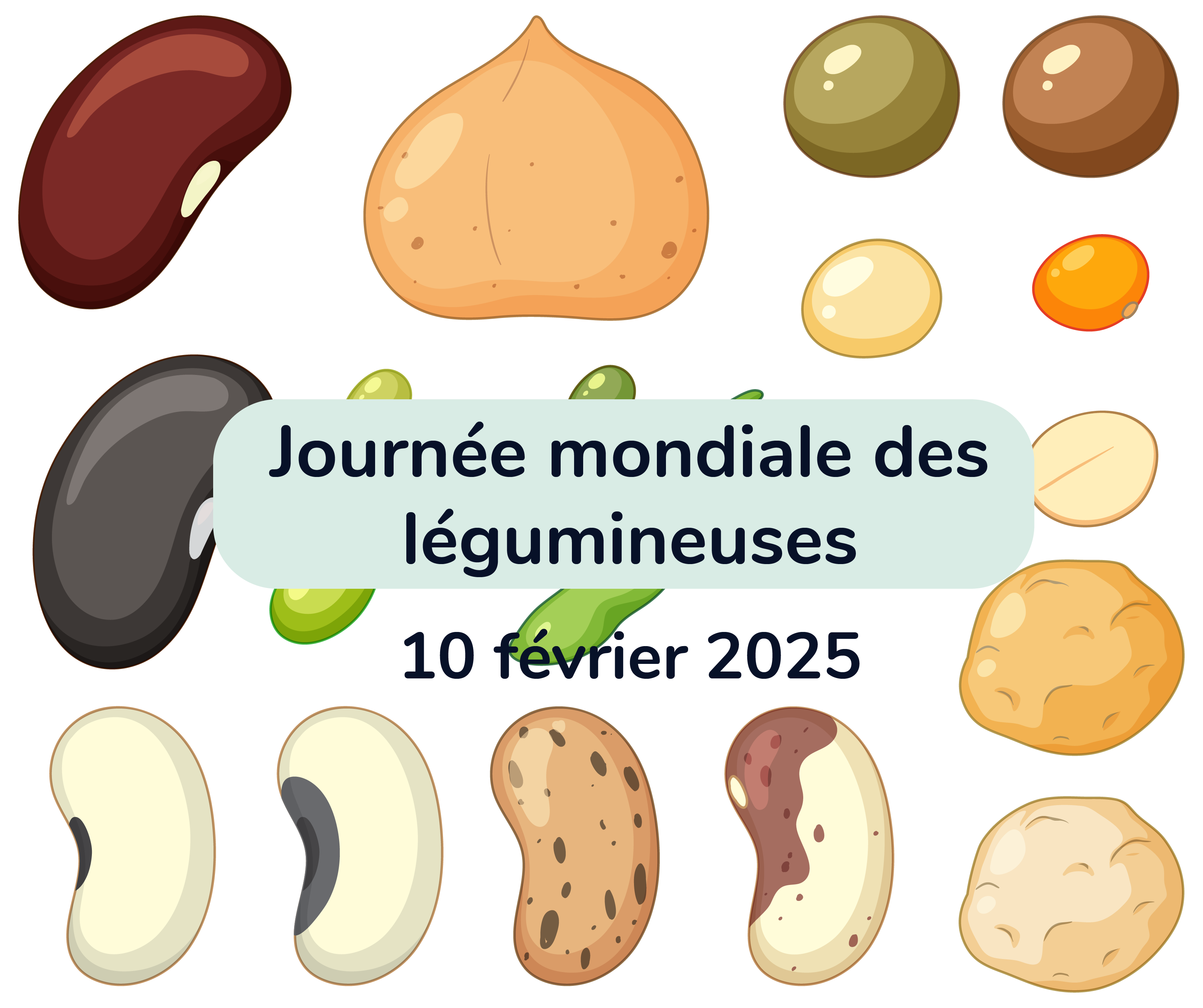 Journée Mondiale des Légumineuses – 10 février 2025